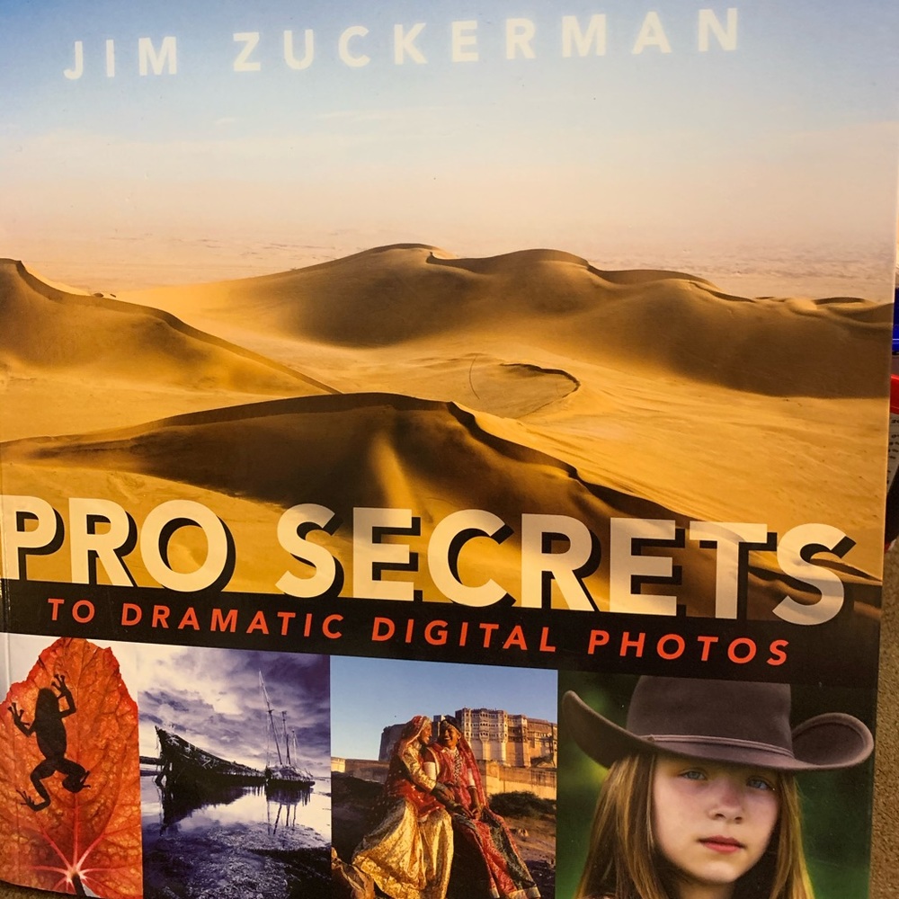 Pro Secrets to Dramatic Digital Photos book
